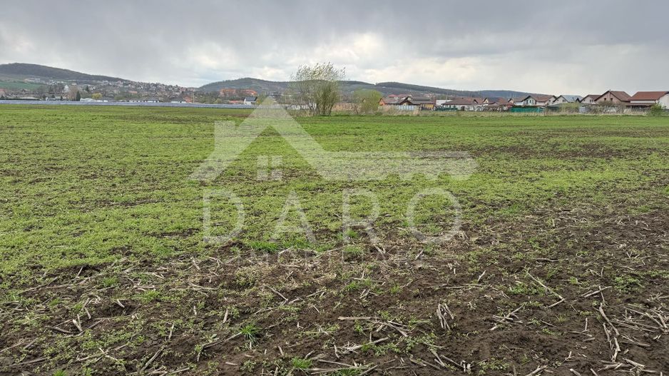 Teren intravilan in Sâncraiu de Mureș - Poză 2