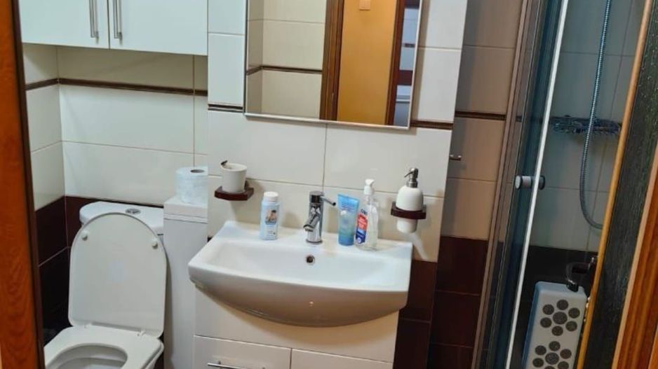 Apartament de vânzare - 4 camere, Strada Tecuci, Bloc Vega - Poză 10