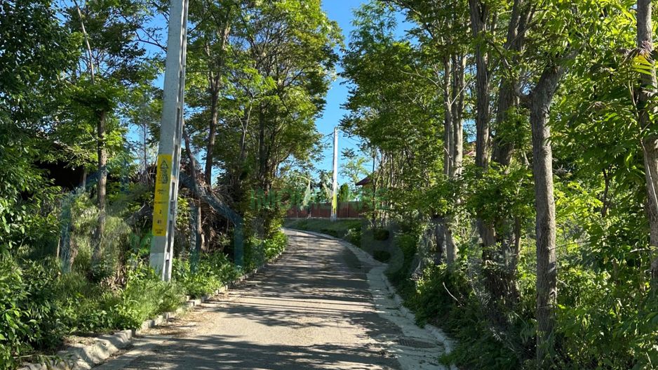 Teren intravilan Tiganasi, 1000 mp, deschidere 28 m la drum - Poză 3