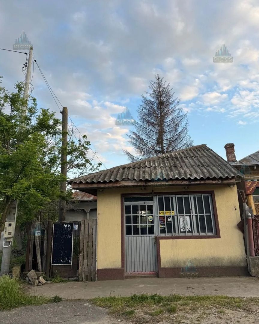 Casă + Spațiu Comercial – Oinacu, 2.658 mp teren - Poză 2