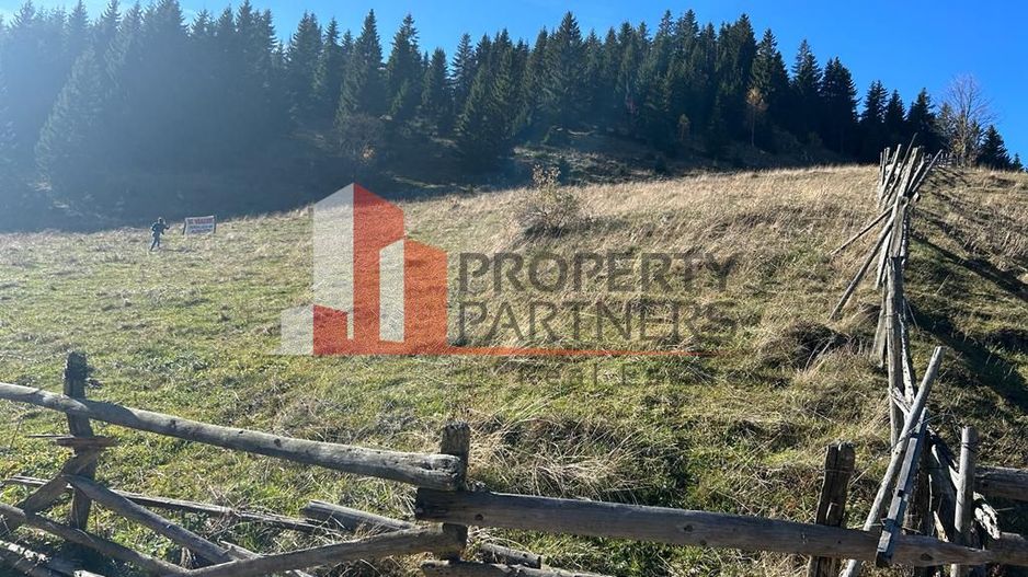 Teren Fundatica intravilan 4500 mp - Poză 11