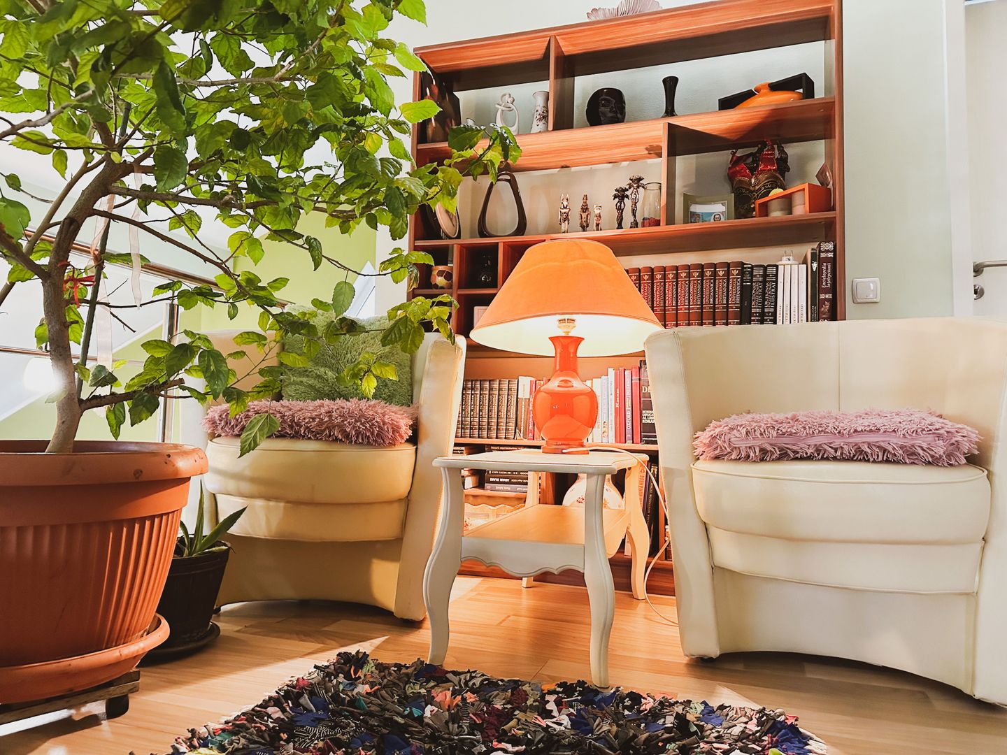 OFERTA VANDUTA - Casa Sacalaz - curte superba | 180 mp, 5 camere - Poză 5