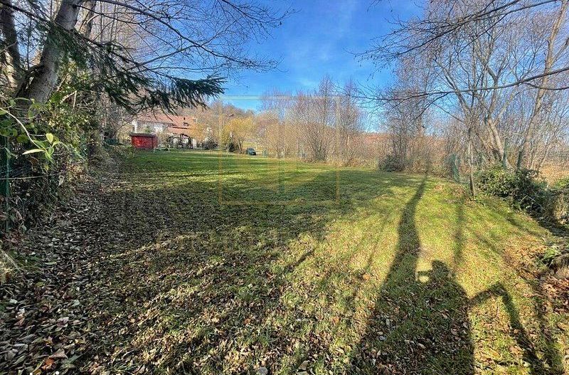 Teren 3349 mp de Vânzare | Bran – Panoramă Munții Bucegi - Poză 5