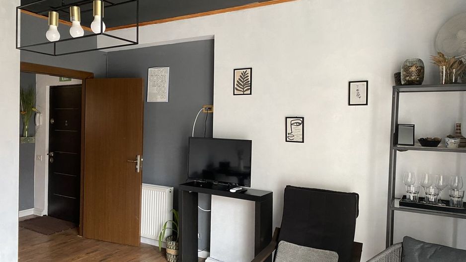 Splaiul Unirii, Mihai Bravu, parter in vila - Poză 4