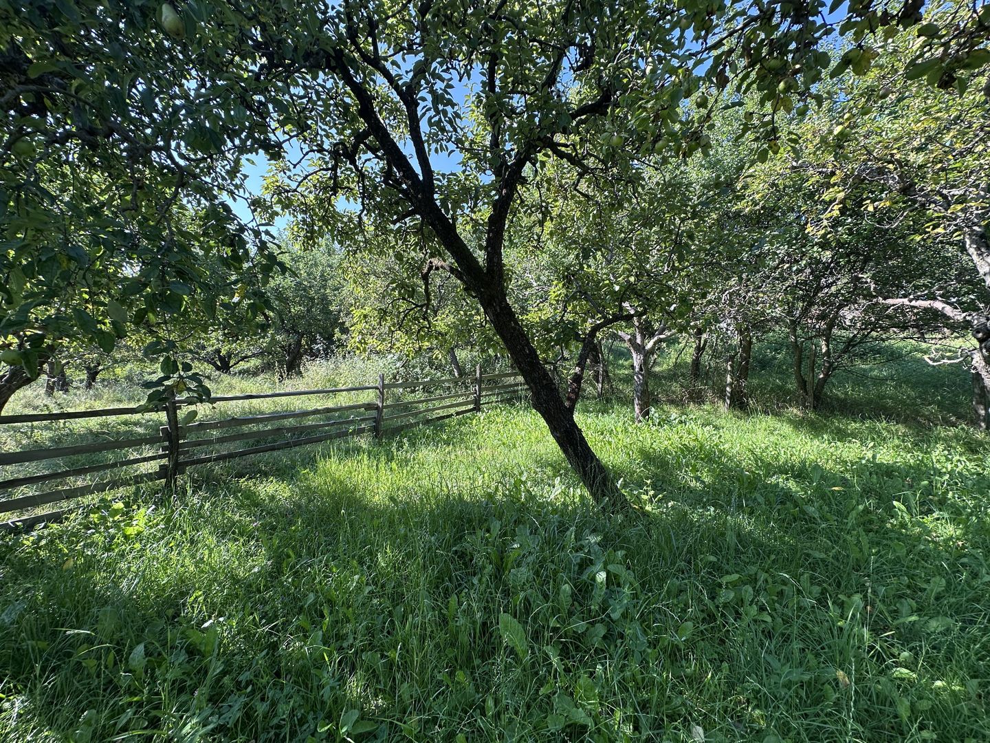 De vanzare: casa in inima unei superbe zone de deal, Valeni-Dambovita - Poză 18