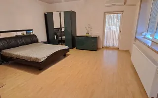 Gara de EST/ Obor inchiriere casa/vila individuala, 4 camere, mobilata - Poză 12