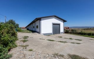 Hală de închiriat – Sat Valea Seacă, Com. Nicolae Bălcescu, Jud. Bacău - Poză 6