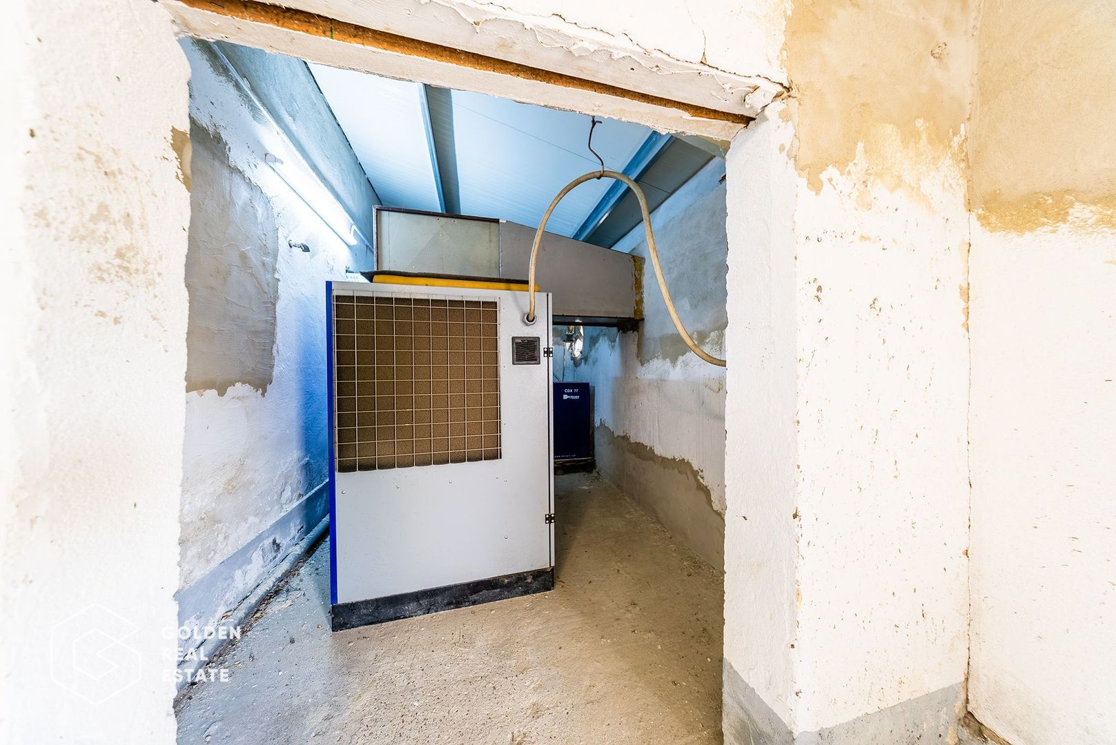 Hala industriala, Pecica, județul Arad - Poză 29