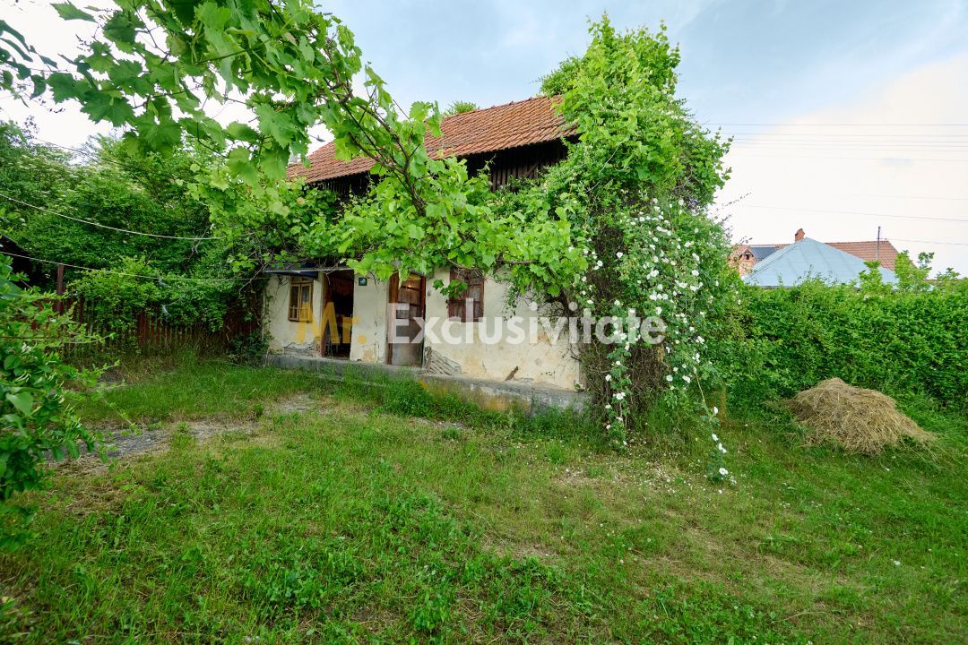 Casa cu teren generos - 4696 mp Apa Sarata - Campulung !! - Poză 23