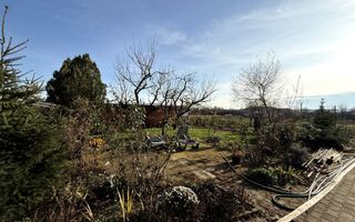 Proprietate impresionanta de vanzare cu mult teren in Santandrei - Poză 29