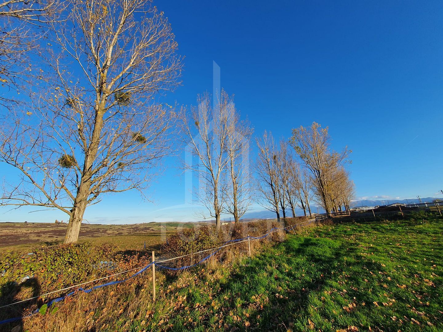 Teren 11,800 mp Șelimbăr | Zona Bungard - Poză 2