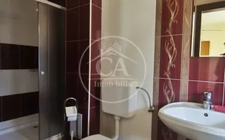 Pensiune de inchiriat in Sanmartin, Bihor - Poză 18