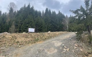 Teren parcelabil cu acces rapid la lacul Colibita - Poză 7