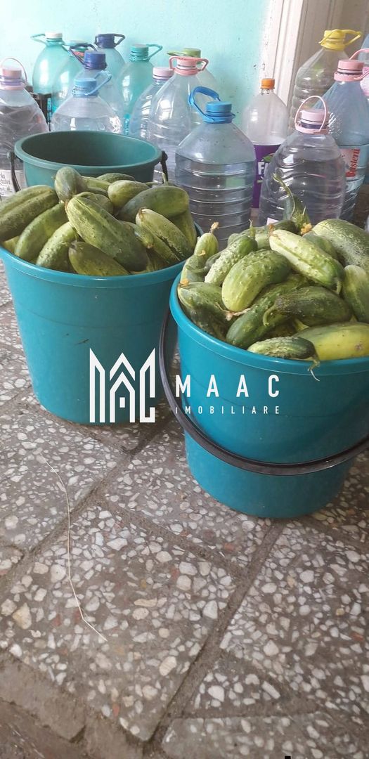 Proprietate cu 60000 mp pamant la pret de apartament - Poză 4