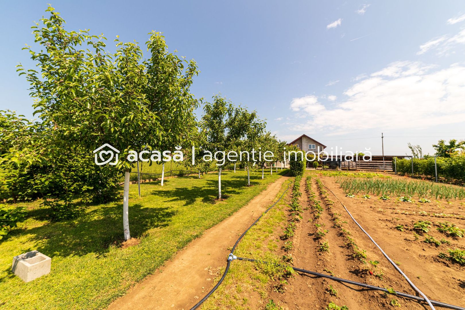 Nou! Casă frumoasă în Sâmbăteni - Poză 25