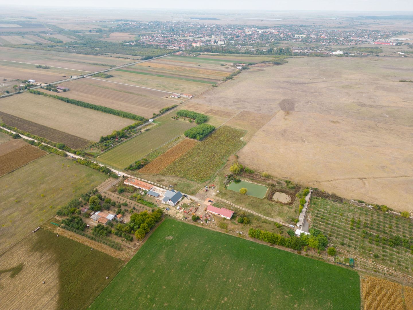 Teren intravilan cu iazuri și casă - Chișineu-Criș - Poză 9