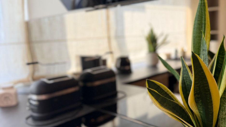 Apartament PREMIUM cu curte, terasă și lift cu acces direct în living - Poză 33