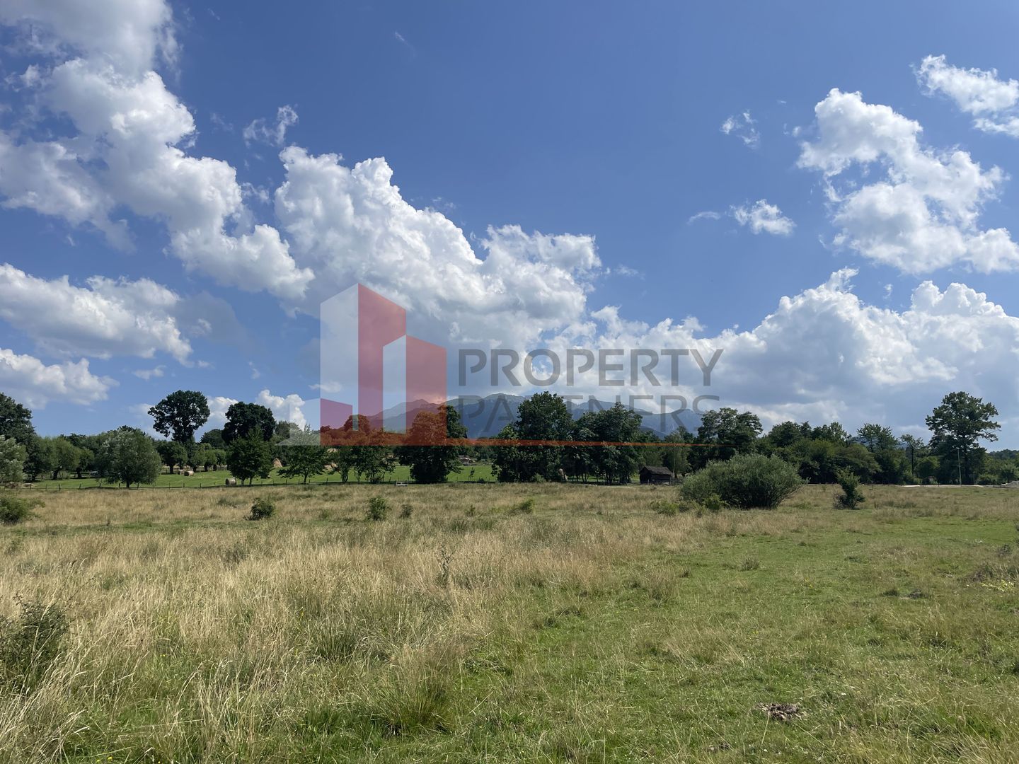 Teren de vanzare in  Tohanu Nou-Sohodol 6200 mp - Poză 8