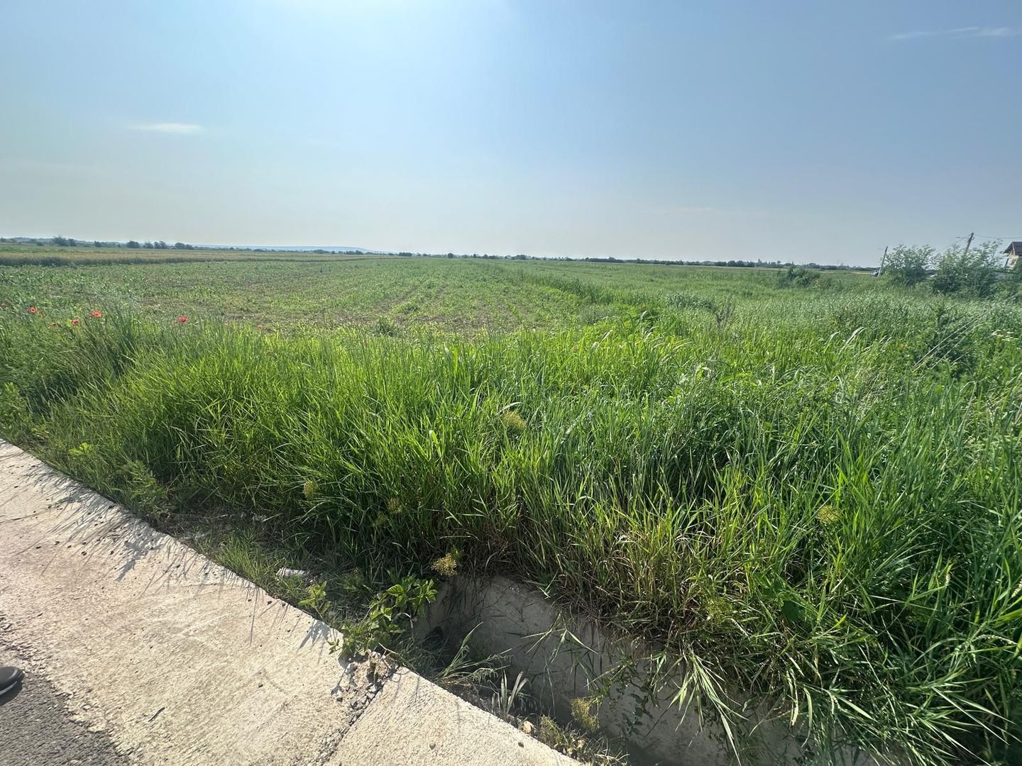 VÂNZARE TEREN MATRACA - Poză 2