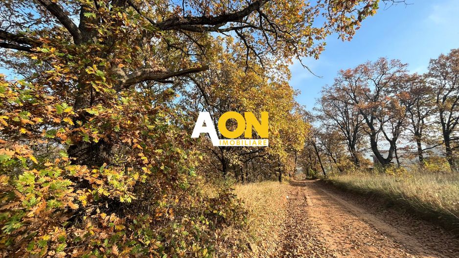 Teren de vanzare,  zona exclusivista,  2400MP - Poză 2