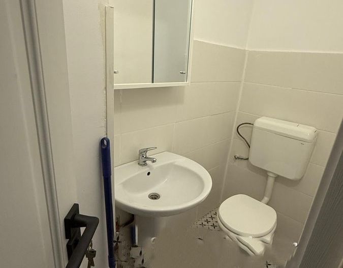 Apartament 3 camere zona Iancului - Elev Stefanescu - Poză 5