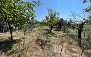 Vila superba cu teren Crevedia - Darza - Poză 33