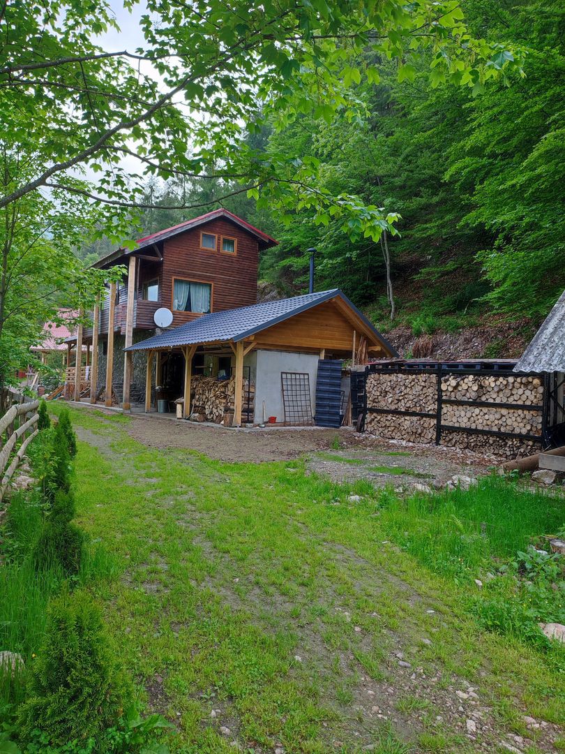 Cabana din Vis Arieseni (Garda de Sus) - Poză 23