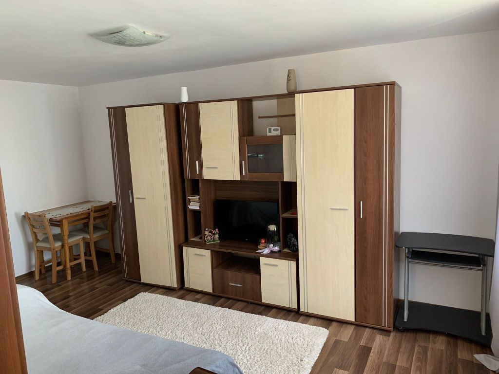 Apartament 1 camera, decomandat-Aleea Tudor Neculai-Lidl - Poză 1