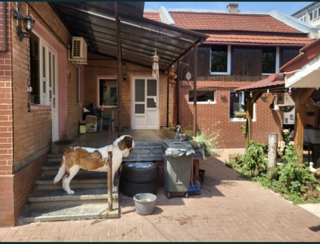 BRASADAS vinde casa individuala 3 camere în zona 14 Mai. - Poză 1