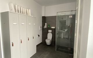 Spațiu Birouri Dumbrăvița - Poză 23