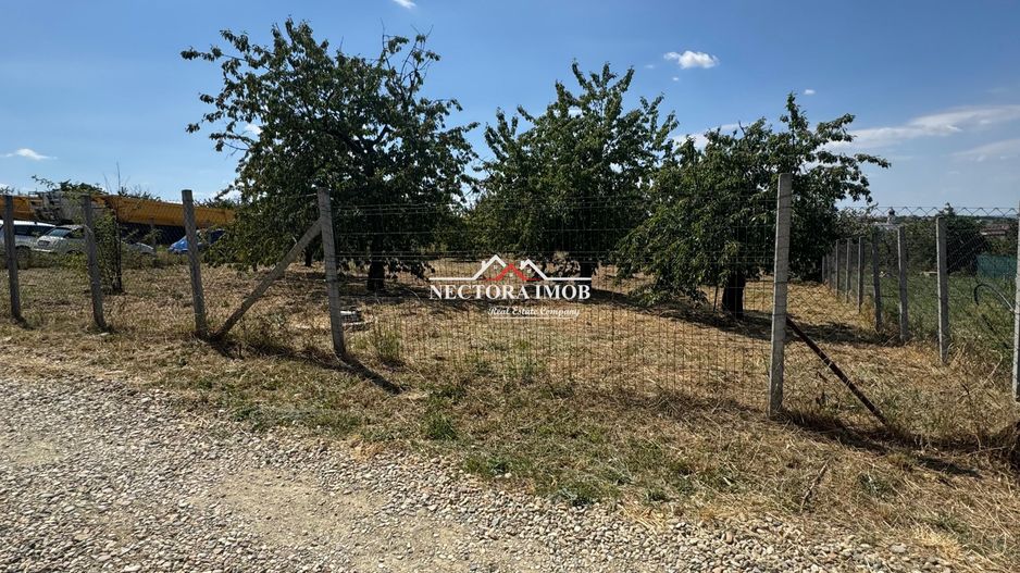 NECTORA IMOB-Teren INTRAVILAN 1000 mp, Zona PALEU, Utilitati incluse - Poză 6