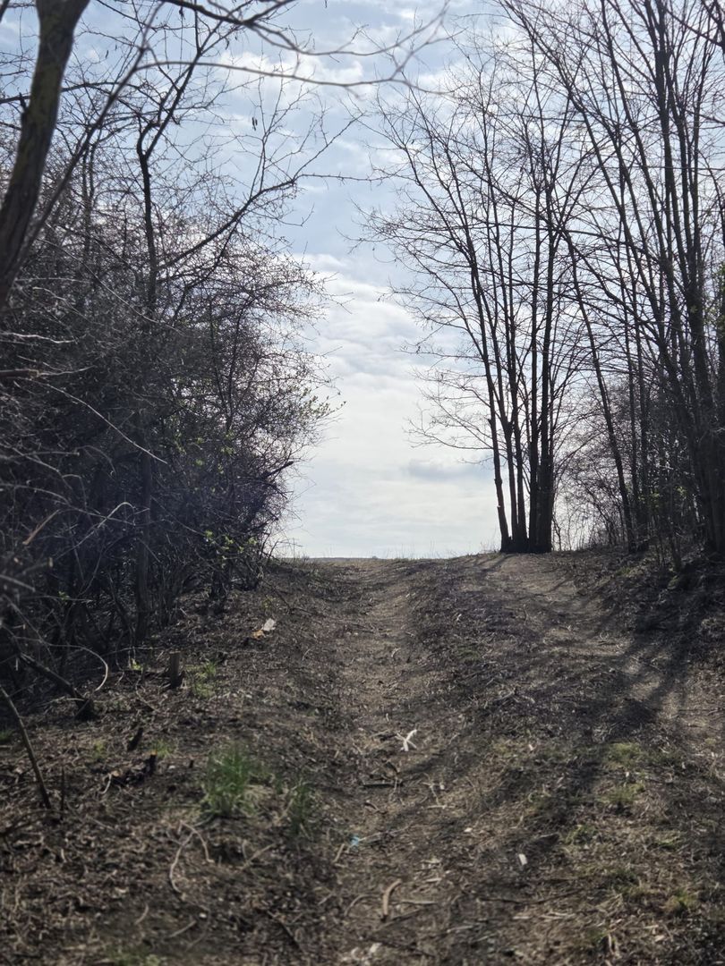 Teren de vanzare Pata Cluj - Poză 6