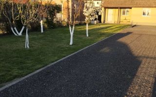 Teren 595 mp | Cartierul Florilor | Anexă locuibilă 42,5 mp - Poză 5