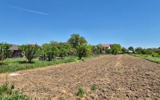 Teren intravilan 2658 mp - 1 Decembrie, Ilfov - Poză 4