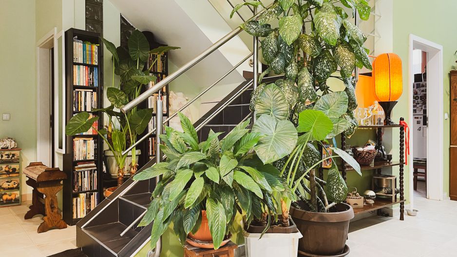 Duplex 5 camere | Interior 180 mpu, Teren 364 mp | Foisor & Garaj mare - Poză 17