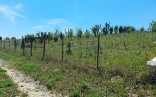 Teren de vânzare, 1074 mp, acces ușor. Zona Copou Iași! - Poză 5