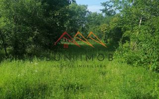 Teren intravilan Municipiul Campina, 1900 mp, investitie - Poză 3