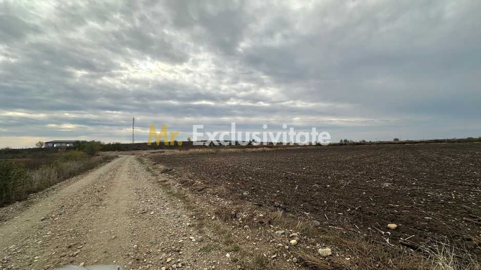 Teren extravilan de vânzare – în apropierea autostrăzii A1, km 80 - Poză 2