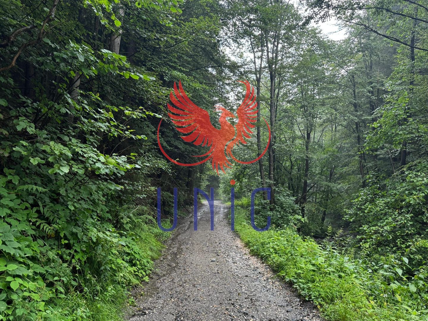 18000 mp de natura pura ,Lupeni, langa Straja - Poză 33