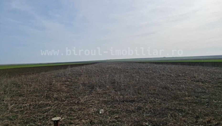 Vânzare teren agricol comasat direct la Soseaua  Istria - Sinoe - Poză 6