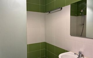 Studio / Tractorul / Pet- Friendly / Curte - Poză 8