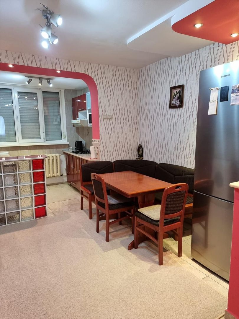 Apartament cu 2 camere, mobilat si utilat - Tiglina 2, parter langa IPJ - Poză 14
