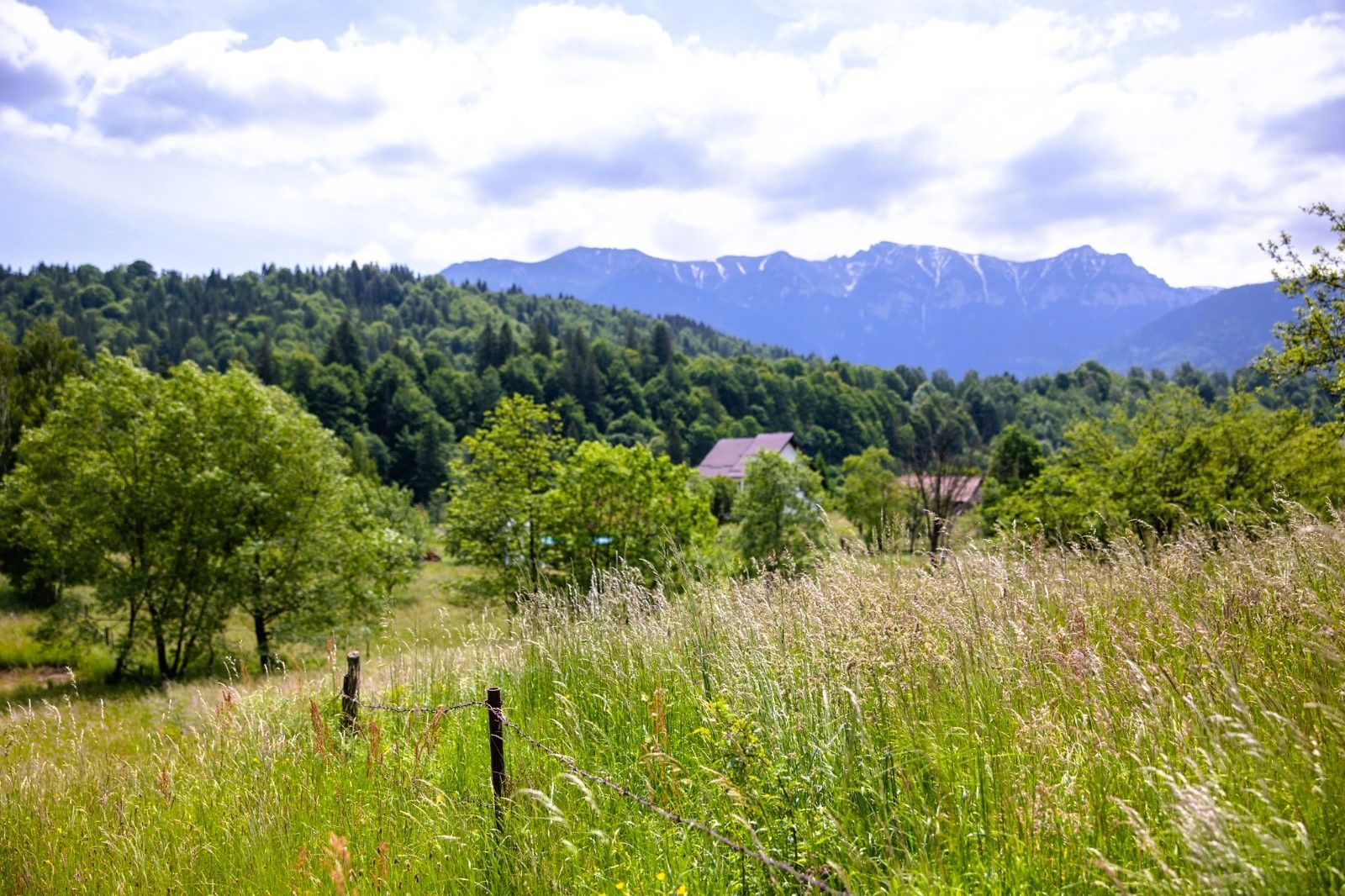 Teren intravilan plat in Bran, 1000 mp, vedere către Bucegi, utilitati - Poză 7