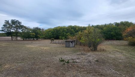 FERMA CU TEREN DE VANZRE