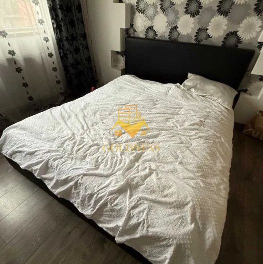 2 Camere Openspace, Intre lacuri, Iulius Mall, FSEGA, Vaida Voevod - Poză 5