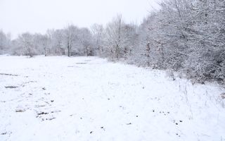 Super oferta I teren intravilan de vanzare in Cisnadie - Poză 5