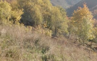 Super ofertă 35000 teren in Muntii Apuseni - Poză 19