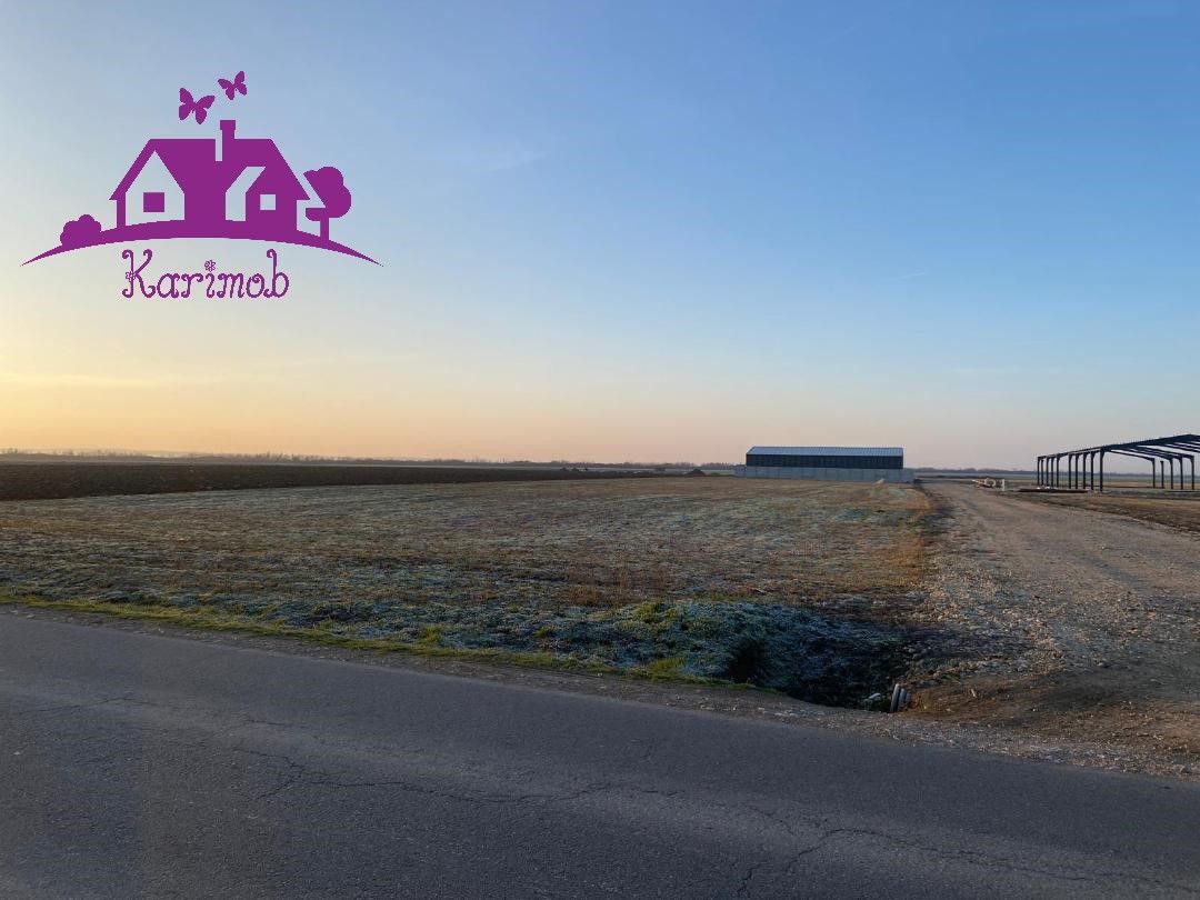 Parcele de teren industrial pentru diferite activitati economice - Poză 4