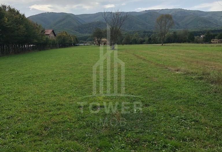 Teren Intravilan -Zona Tocile - Poză 1