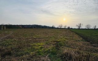 Teren intravilan 7620 mp la intrare in Diosig - Poză 2